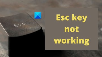 Esc key not working in Windows 11