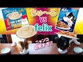 ちゅ～るvsフェリックス！ どっちが大好き？【Which one do you like, big hit sweets?】猫といっしょ＃218
