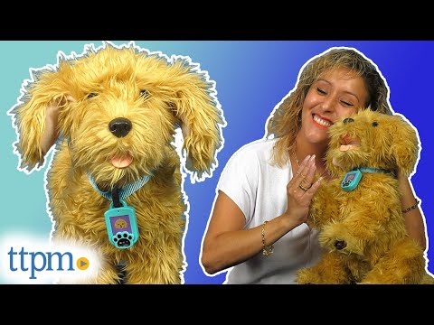 Meet Moji the Lovable Labradoodle! | My Fuzzy Friends from Skyrocket Toys