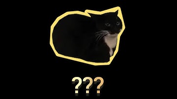 11 Maxwell The Cat Sound Variations in 61 Seconds Part 24