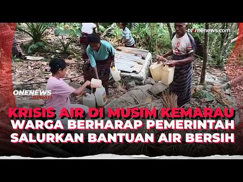 Kemarau Panjang Bikin Warga Sikka Rela ke Hutan Demi Air | OneNews Update