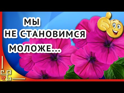 Мы не становимся моложе...Красивые стихи о жизни. Современная поэзия