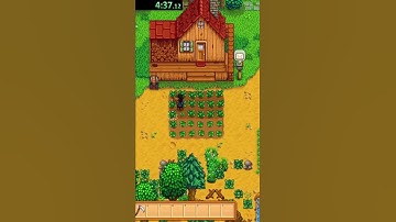Speedrunning A Random Stardew Item Part 6