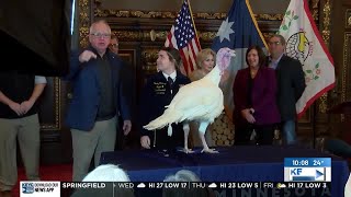 Ahead of Thanksgiving Minnesota leaders highlight state s robust turkey industry
