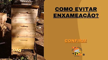 O que é enxameação e como evitar?