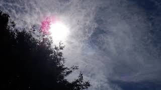 Sprayed and a HUGE Sun Halo by gina C 29 views 13 days ago 3 minutes, 20 seconds
