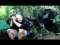 Zegrahm Expeditions' Gorilla Encounter in Uganda