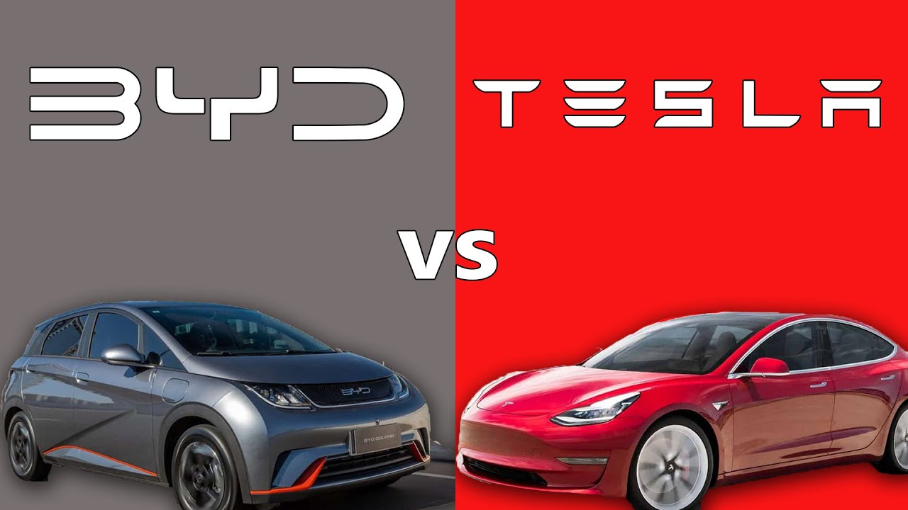 BYD vs TESLA - YouTube