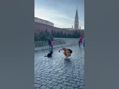 Интересное место выбрано для фотосессии собачки #Кремль #Мовзолей # ...
