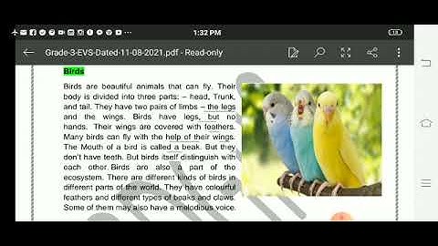 Grade 3 EVS Dated 11 08 2021