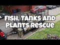 Fish tanks and plants rescue