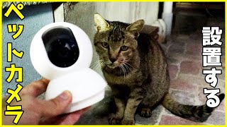 おじじ猫さんのヒーターハウス内にペット見守りカメラ TP-Link Tapo TC70を設置する