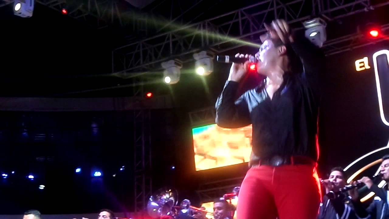 luis alfonso partida el yaki en vivo 2015 youtube luis alfonso partida el yaki en vivo 2015 youtube