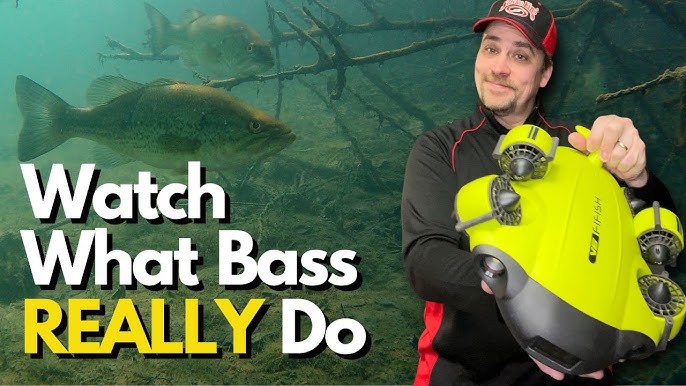 I have a fever, and the only cure is a big largemouth bass. Tell