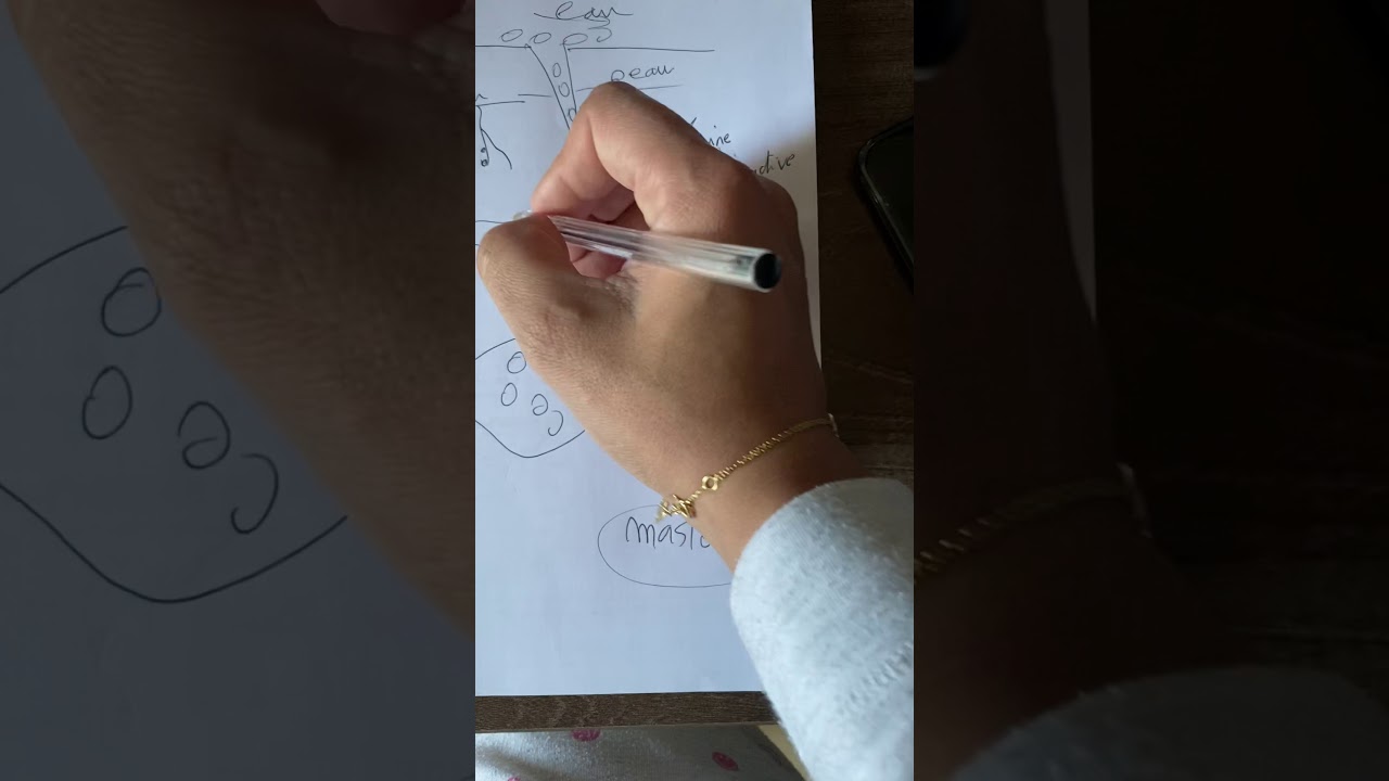 Résumé immunologie partie 3