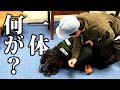 3ヶ月で 11キロにする方法 ダイエットに成功した盛山にリリーがインタビューのはずが Lilly S Interview 3ヶ月で 11キロにする方法 ダイエットに成功した盛山にリリーがインタビューのはずが Lilly S Interview