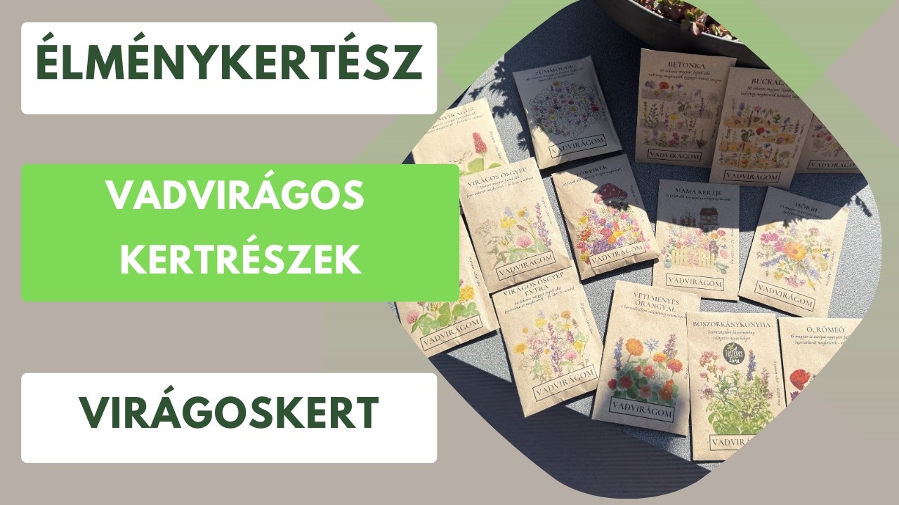 Vadvirágok mindenhol – még a balkonon is!🌸