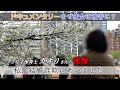 「私、結婚詐欺にあいました#1」【ドキュメンタリー】保育士のカオリさん（３０歳）の告白。カオリさんは今まで誰にも打ち明けられなかったという秘密について話してくれた。なぜ彼女はお金を取られたのか？
