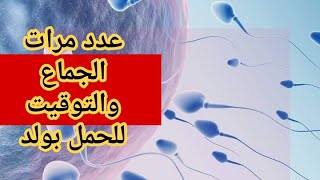 عدد مرات المباشرة والتوقيت للحمل بولد