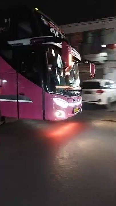 bus 44 trans 'aliya' #shorts #bus #buspariwisata #44trans