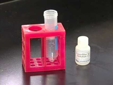 Video 6 - DNA Extraction (part 2)