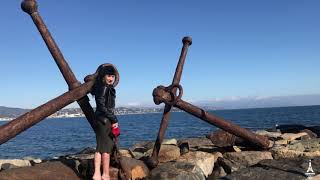 Amazing Day In St- Tropez