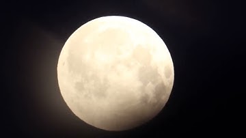 سورة التحريم 66 Surah At-Tahrim 🌟🌟🌟🌟🌟