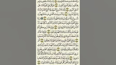 سورة النمل من الآية ٧٧ إلى الآية ٨٨بصوت القارئ #ماهر_المعيقلي