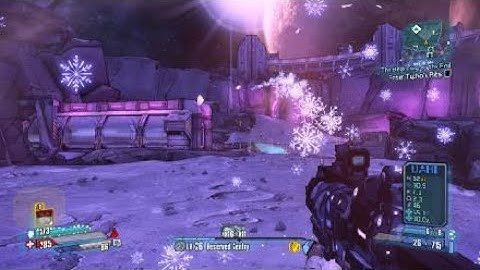 T4s-R VS. RK5 (Borderlands TPS)