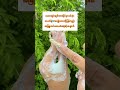 #celina #soap #foryou #trending