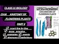 tissue system anatomy of flowering plants class 11 ncert general science UPSC prelims biology part:2