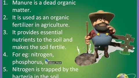 Growing Plants video session 3 Part 2 for 5th class science