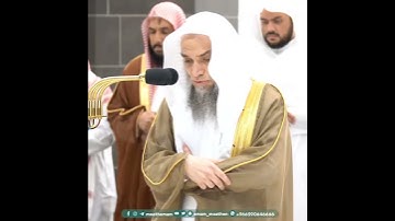 سورة التكاثر - تلاوة الشيخ #فيصل_غزاوي