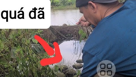 Đạm bạc Bữa cơm chiều với cá rô đồng