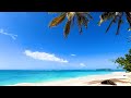 Peaceful Meditation: 6 Hours of Tropical Scenery & Soothing Ocean Sounds (4K Background Video)