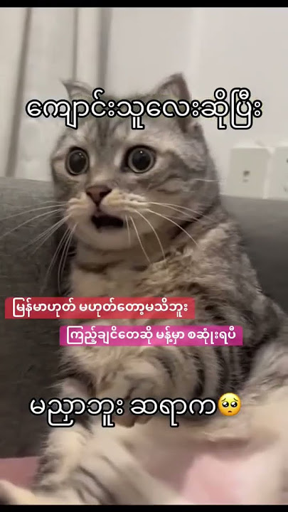 Telegram vd link - https://t.me/ -W4kJUf6TCUwNDFl