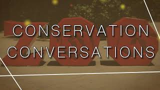 Conservation Conversation: Sumatran Tiger