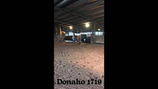 Donaho 1719