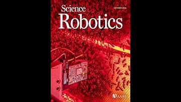 Autonomous tracking of honeybee behaviors over long-term periods with cooperating robots