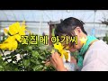 꽃집의아가씨⭐️
