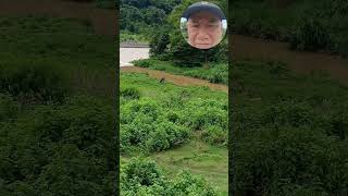 Cagayan River #music #coversong #oldies