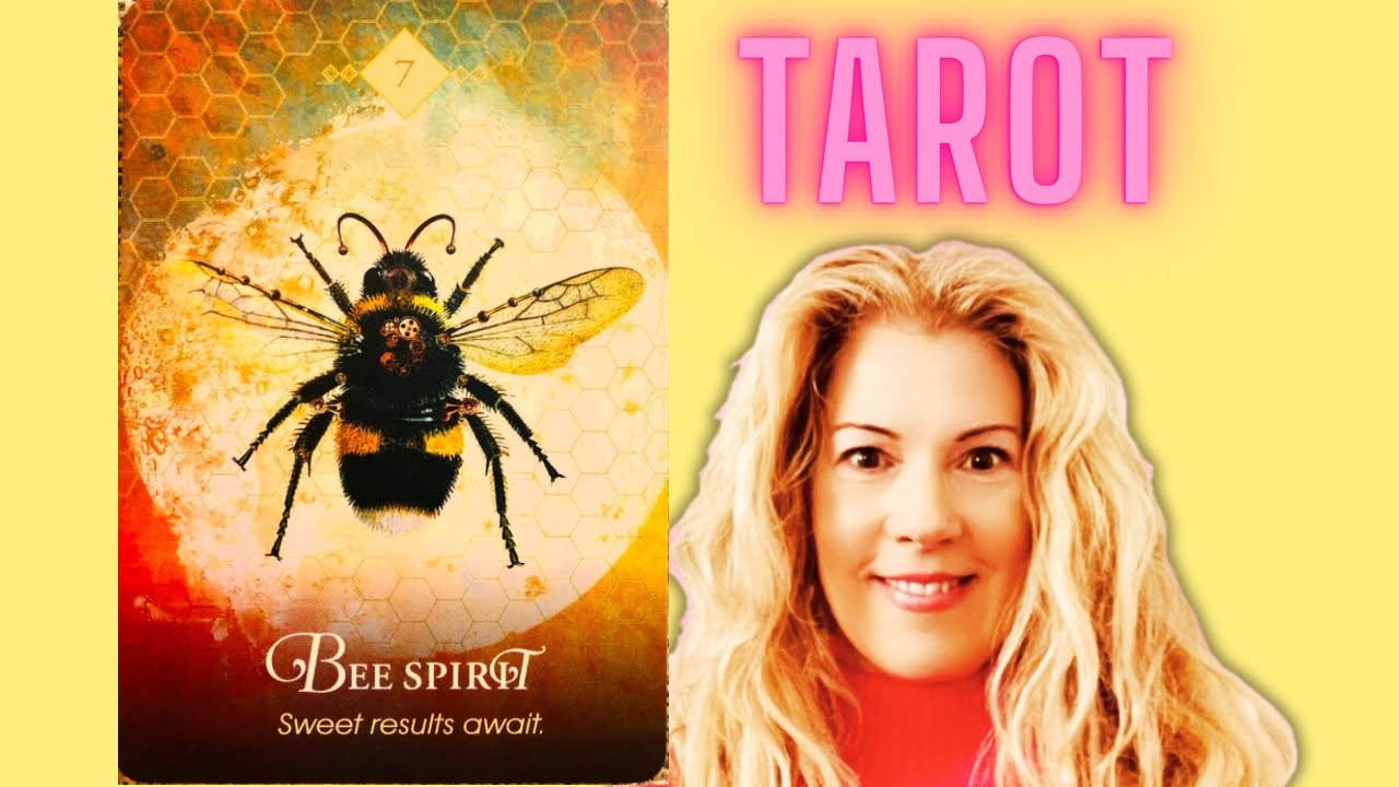 🗝️ The Universe Is Your Partner! Tarot Reading For The Collective—Timeless! @TarotInParisWithZoe 