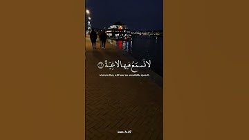 تلاوة عطرة لآيات من كتاب الله #القرآن_الكريم #القرآن #المصحف #اكسبلور #foryou #راحة_نفسية #viral