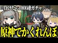 【コラボ配信】イネファが復刻されるので負けたら1000連ガチャのかくれんぼ!!!(アホ)【原神】