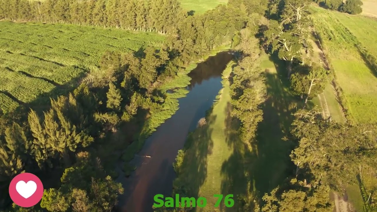 Salmo 76 - Recordaré los prodigios del Señor.