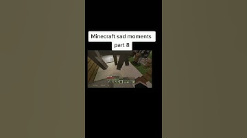 Minecraft Sad Moment