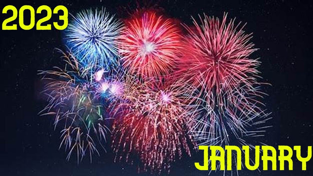 The First Of Many || January 2023 Silly Recap - YouTube