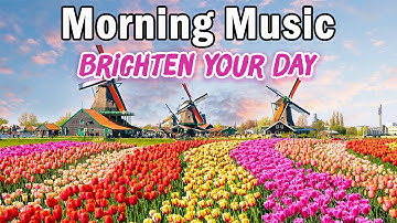 Morning Bliss - Relaxing Rhumba & Cha Cha Cha Instrumentals - Brighten Your Day