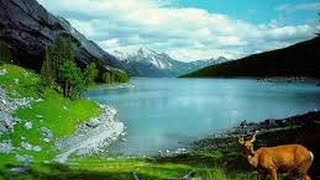 RealaxM Channel Promo
RelaxM is a channel for Soft, Relaxing instrumental Music of Bollywood evergreen melodies with tranquilizing visual.
Good for Meditation, Study,Stress relief and Peace of mind etc.
Subscribe to enjoy regular new uploads. RealaxM Channel Promo