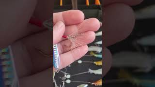 Zebra Mavi 20 Gr J,G Balık Avı